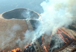 南安烧山最新爆料,揭秘真相与背后故事