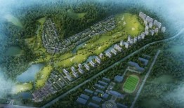 德清都市爆料事件最新,揭秘事件背后惊人真相！
