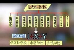 广西教育爆料最新消息,多所高校改革举措及招生政策大揭秘