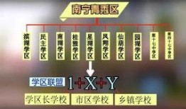 广西教育爆料最新消息,多所高校改革举措及招生政策大揭秘