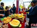红领巾爆料吃瓜最新,娱乐圈最新瓜料大揭秘！