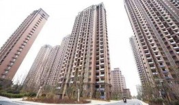 中旅城业主群爆料信息最新,揭秘小区神秘事件真相