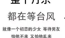 最新台风爆料新闻内容,超强风暴来袭，多地预警升级！”