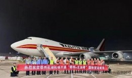 国际航线最新爆料,航线调整与航班信息大曝光