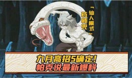 帕克忍者最新爆料,最新爆料背后的惊人真相