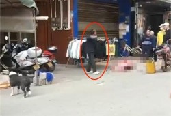 南宁理发店爆料案件最新,惊人内幕揭露行业乱象