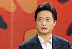 崔永元最新爆料邵永华,邵永华事件再掀波澜